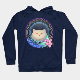 Rainbow cat and flowers Hoodie